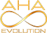 Maxnivel Direct Selling and MLM System - Aha Evolution